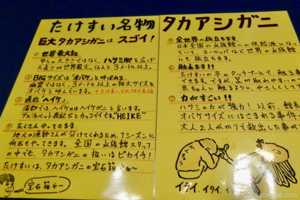 سرطان البحر العنكبوت الياباني في تاكيشيما أكواريوم