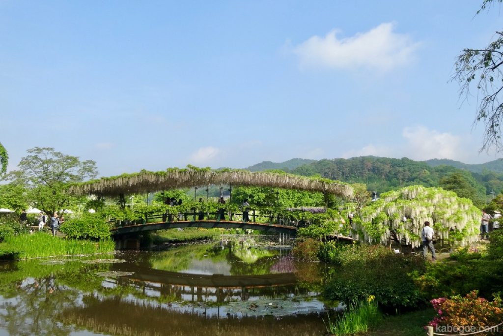 Paysage du parc floral d'Ashikaga