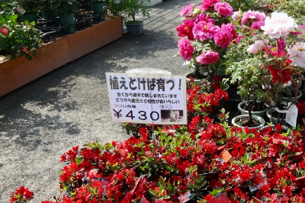 Tienda del parque de flores Ashikaga