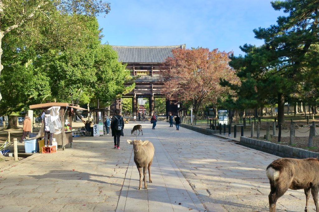 Entrada del templo Todaiji