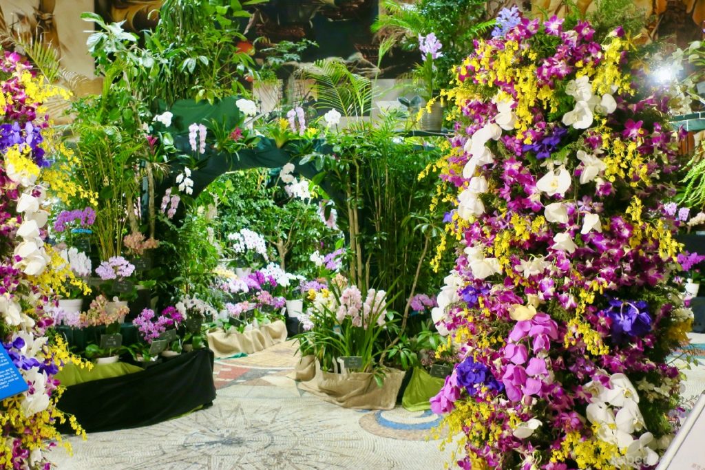 De Grote Phalaenopsis-tentoonstelling van Huis Ten Bosch