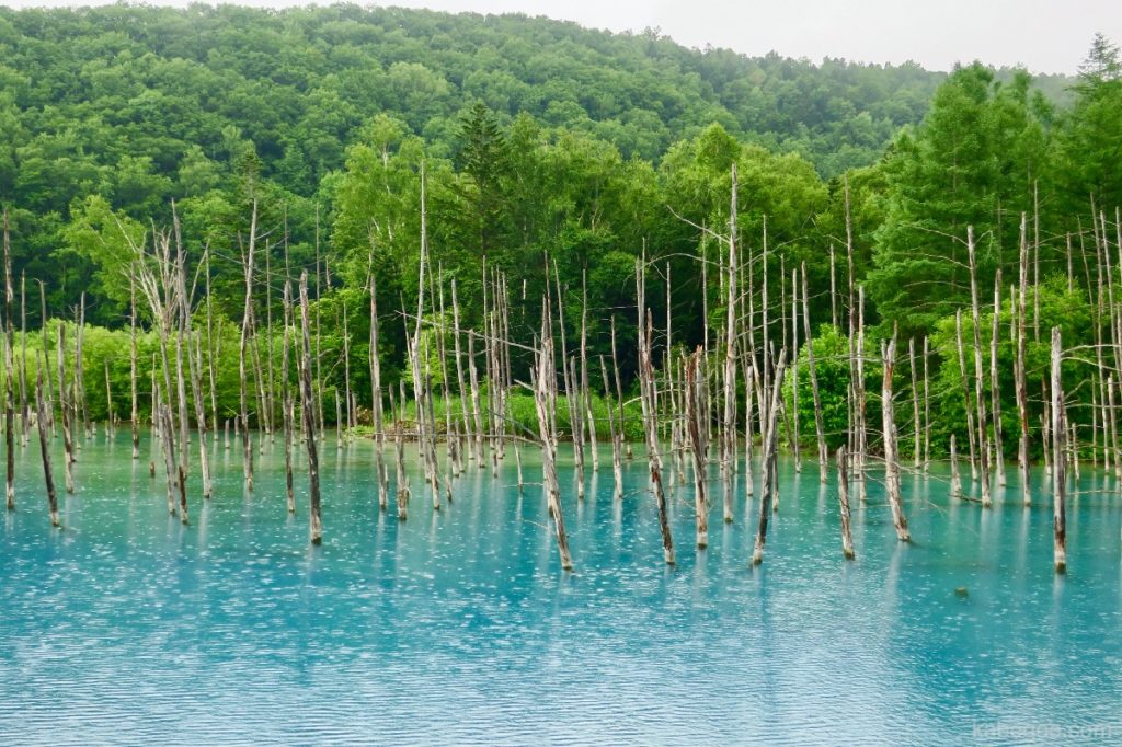 El estanque azul de Biei