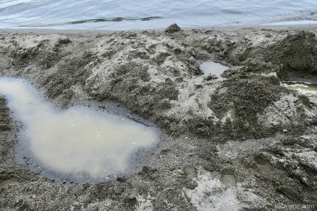 حمام بحيرة كوشارو الرمل
