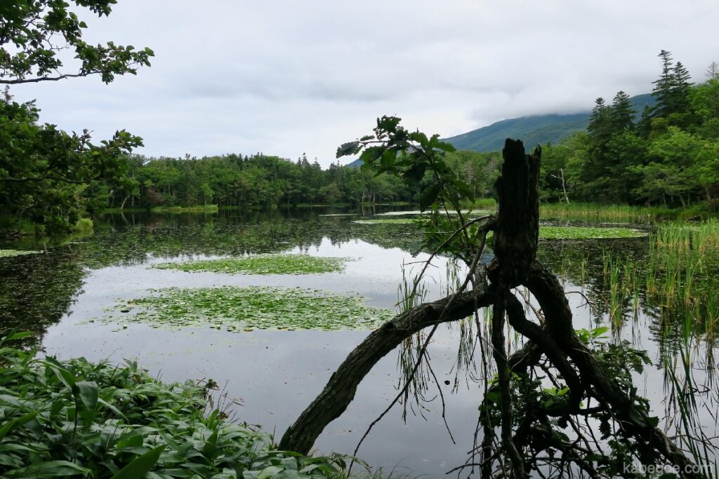 Shiretoko पांच झीलों के दृश्य