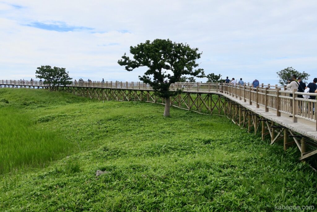 Sentiero in legno sopraelevato di Shiretoko Goko