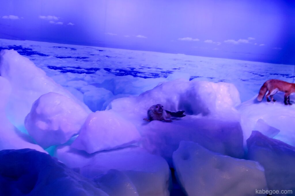 オホーツク流氷館の流氷体験テラス