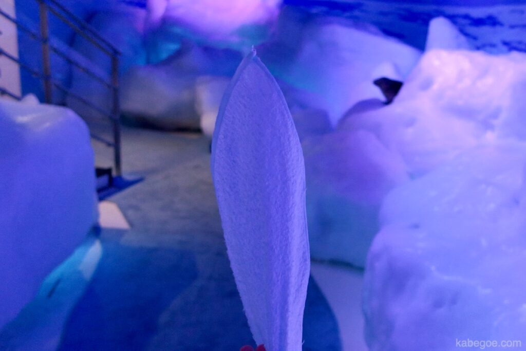 オホーツク流氷館の流氷体験テラスのタオル回し