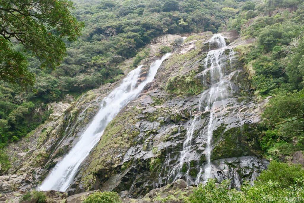 屋久島の大川の滝