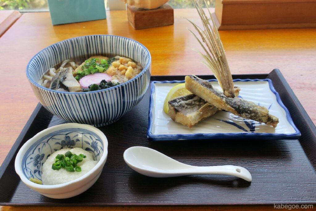 यकुशिमा में उड़ती मछली