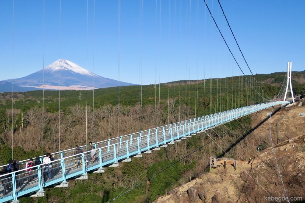 Mount Fuji vanaf Mishima Skywalk