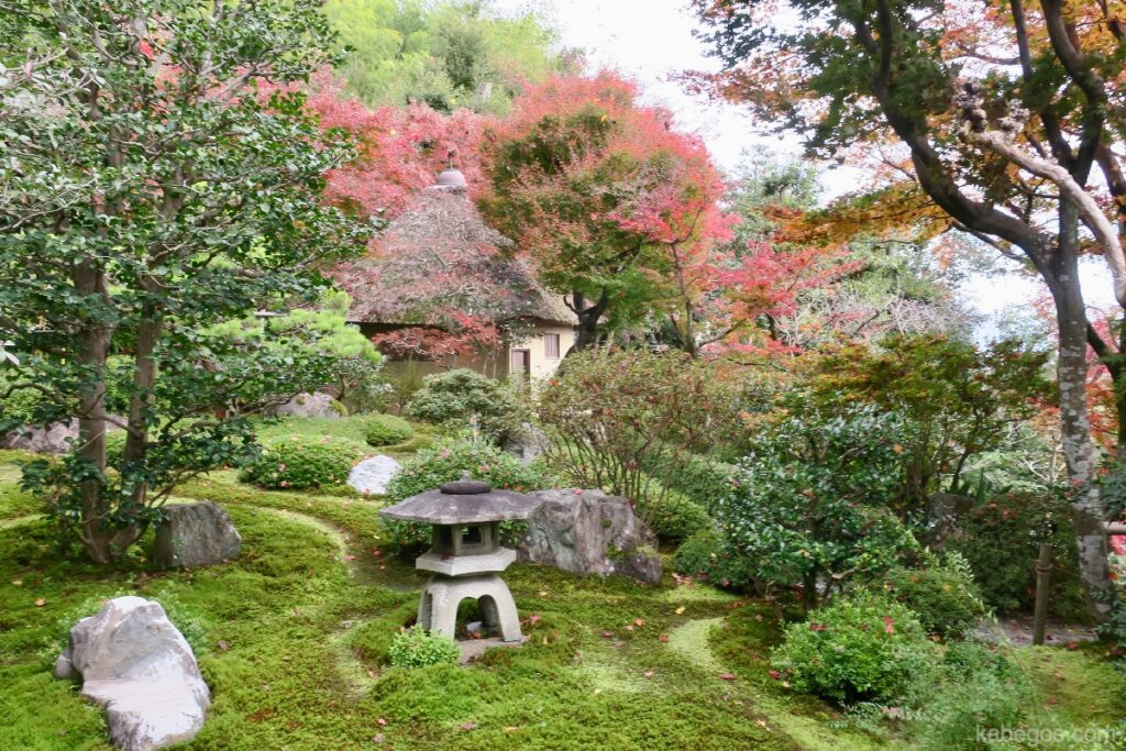 鈴虫寺の庭