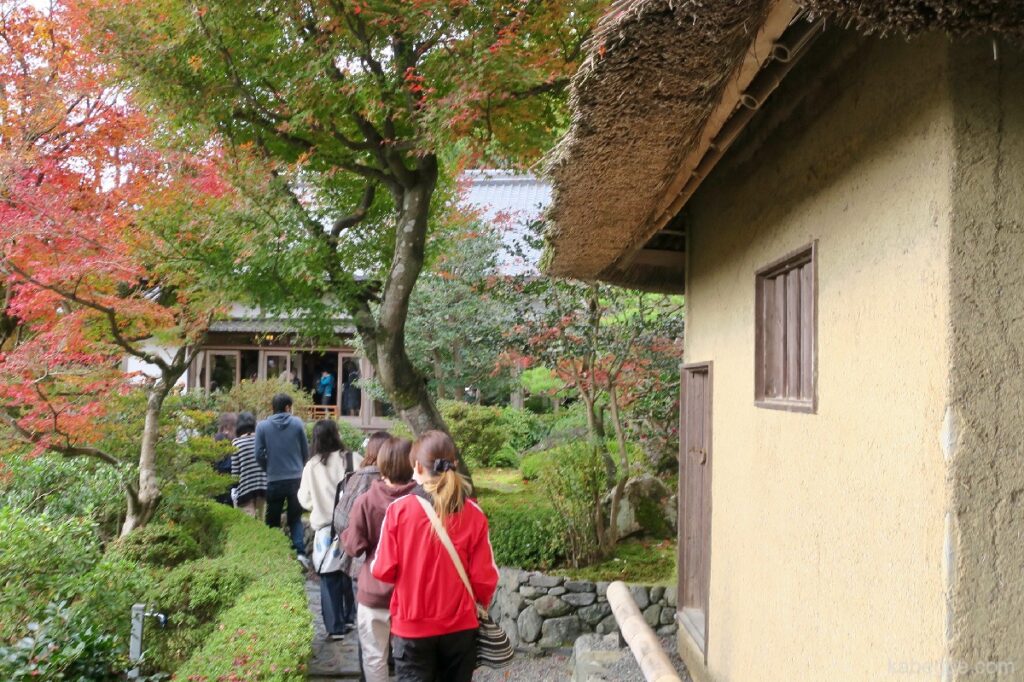 Giardino del tempio di Suzumushi