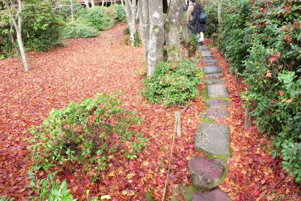 Strada nel giardino di Okochi Sanso
