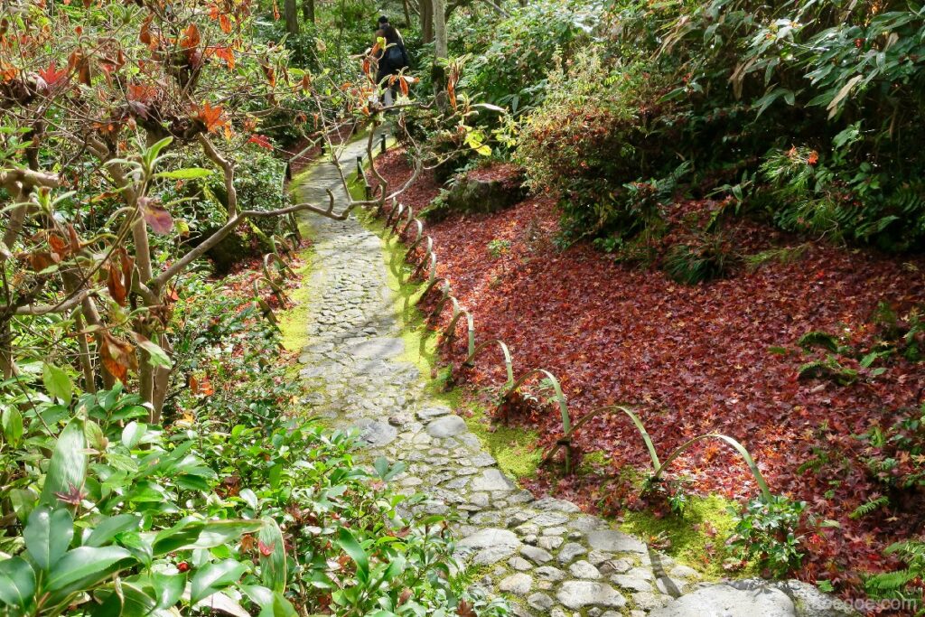 Camino del jardín de Okochi Sanso
