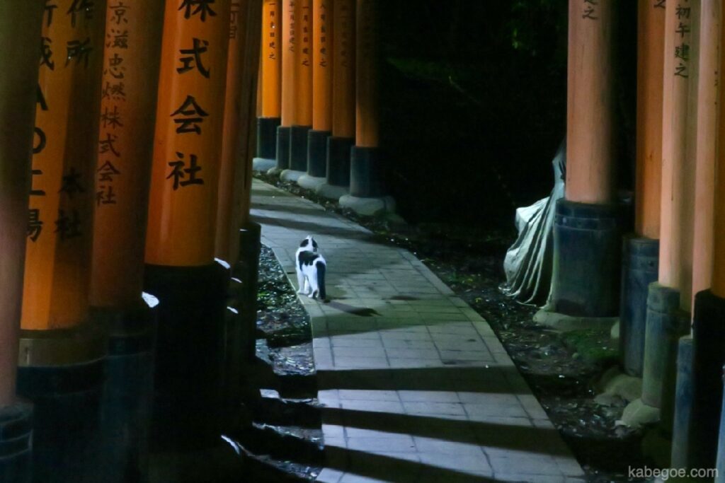 Chat Fushimi Inari Taisha