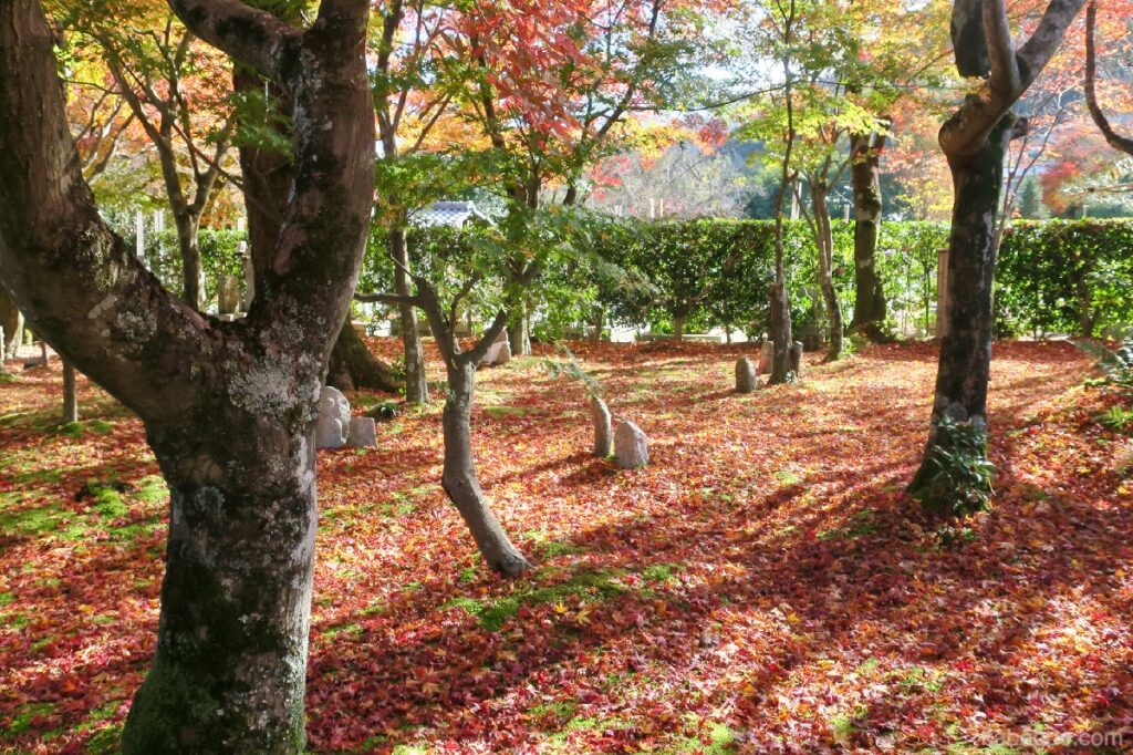 Daun musim gugur di Kuil Adashino Nenbutsuji