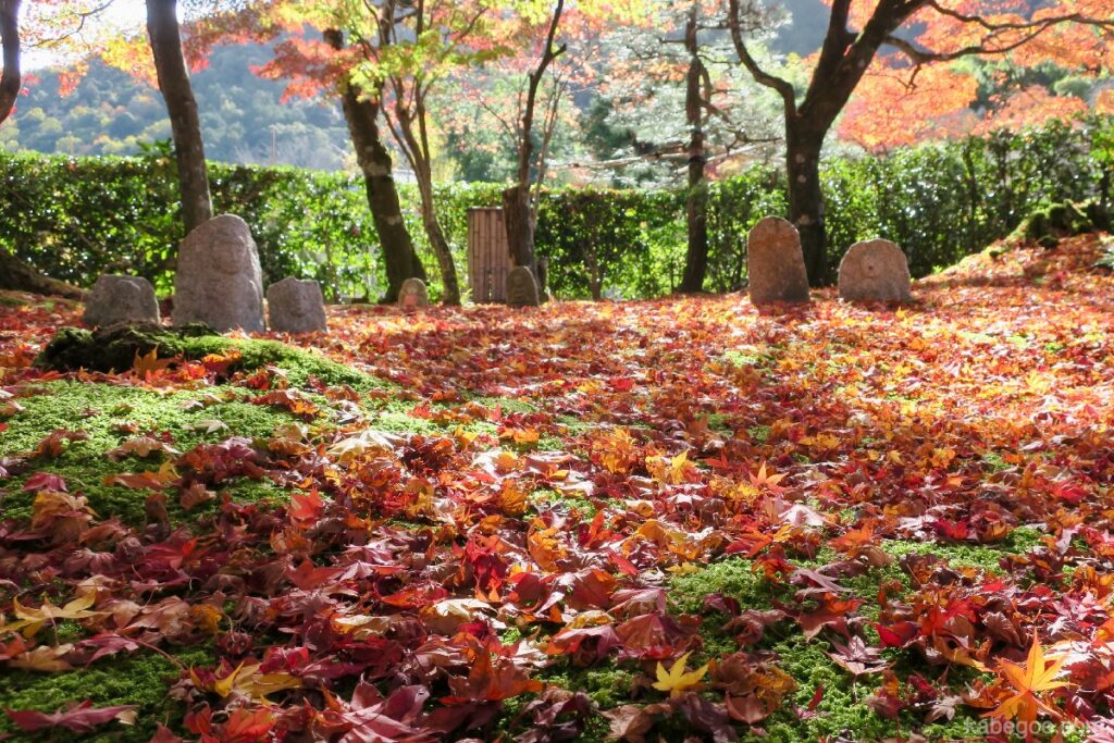 Herfstbladeren van de Adashino Nenbutsuji-tempel
