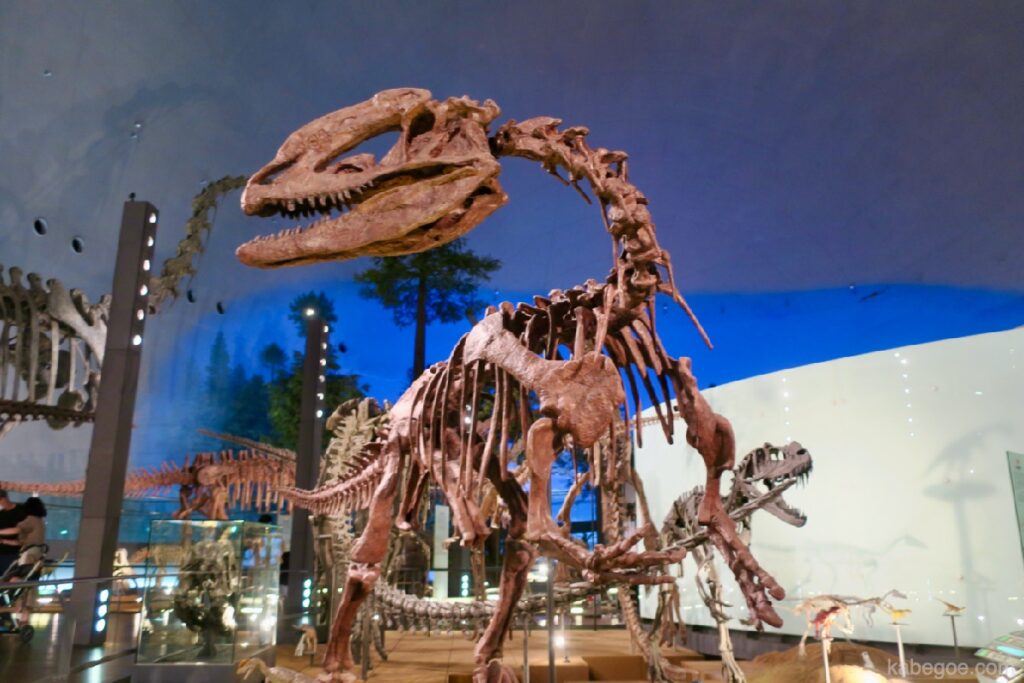 Skelet van het hele lichaam van Fukui Dinosaur Museum
