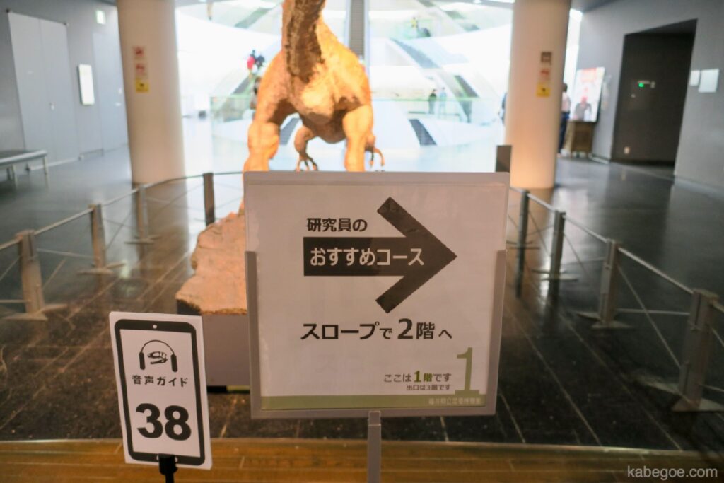 Curso recomendado del Museo de Dinosaurios de Fukui