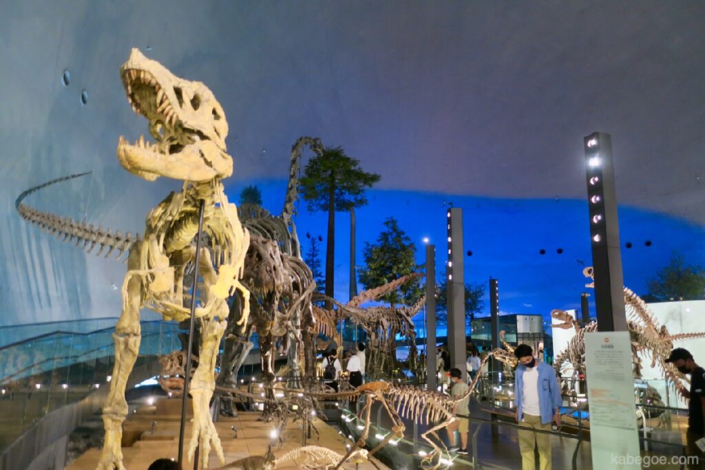 هيكل عظمي كامل الجسم لمتحف فوكوي للديناصورات