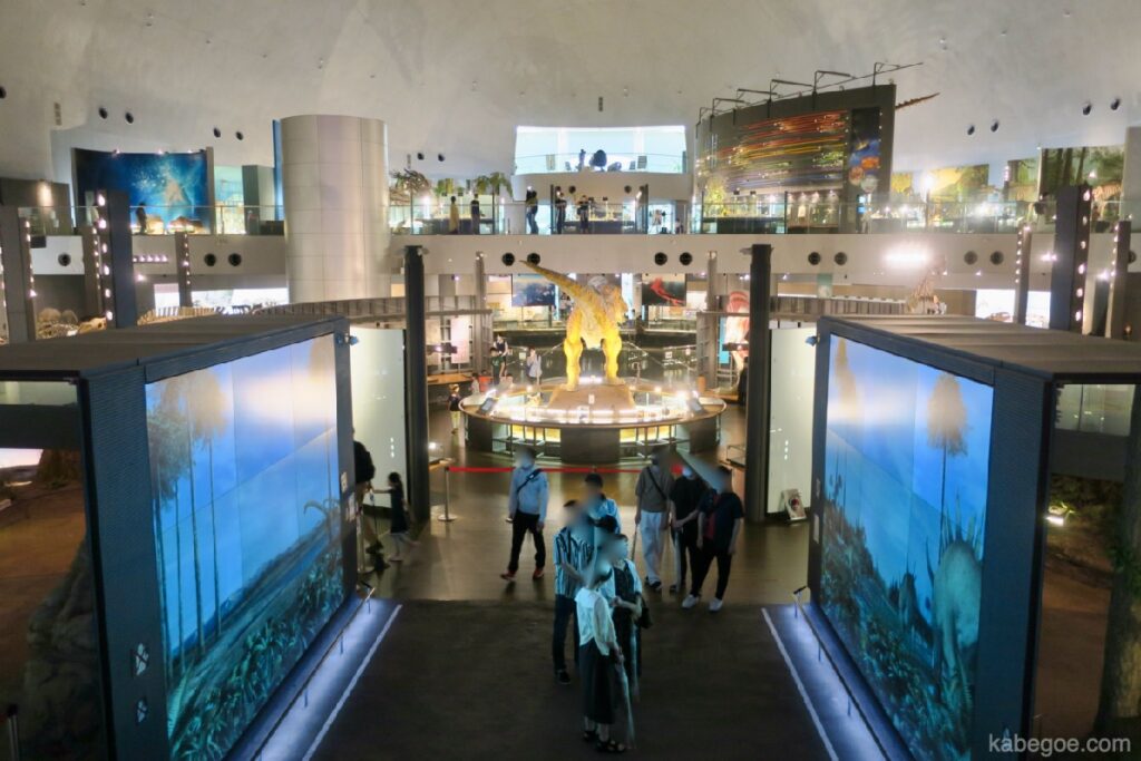 Фукуй үлэг гүрвэлийн музейн үзэмж