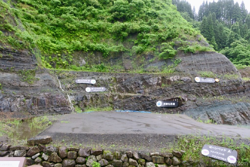 Ang site ng paghukay ng fossil sa Yagaikyoryu Museum