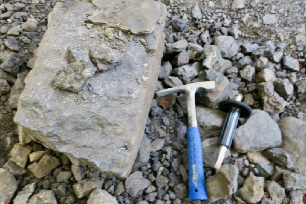 Un'esperienza di scavo fossile al Museo Yagaikyoryu