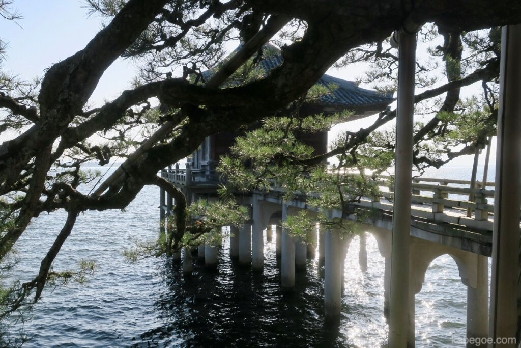 Ukimido-dennenboom in de prefectuur Shiga