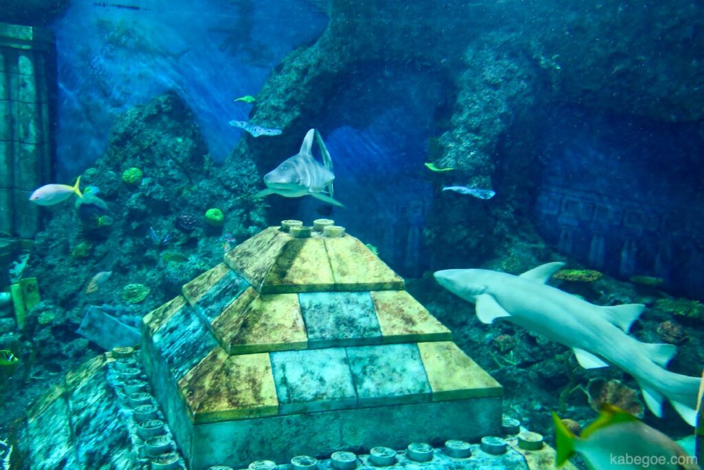 Cá mập phiêu lưu trên tàu ngầm của Legoland